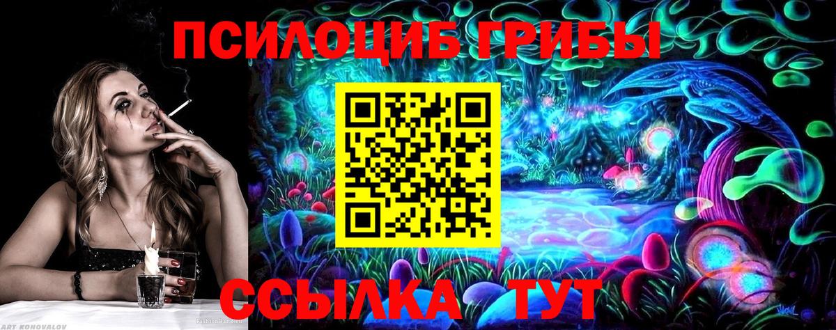 Псилоцибиновые грибы Psilocybe  Вход с VPN  Тамбов  Псилоцибиновые грибы GOLDEN TEACHER 